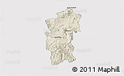 Shaded Relief 3D Map of Hidalgo, cropped outside