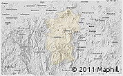 Shaded Relief 3D Map of Hidalgo, desaturated