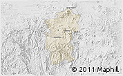 Shaded Relief 3D Map of Hidalgo, lighten, desaturated