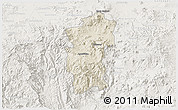 Shaded Relief 3D Map of Hidalgo, lighten