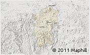 Shaded Relief 3D Map of Hidalgo, lighten, semi-desaturated