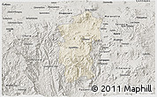 Shaded Relief 3D Map of Hidalgo, semi-desaturated