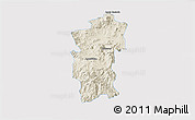 Shaded Relief 3D Map of Hidalgo, single color outside