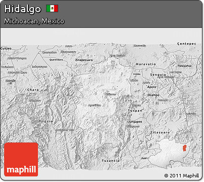 Silver Style 3D Map of Hidalgo