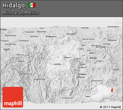 Silver Style 3D Map of Hidalgo