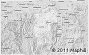 Silver Style 3D Map of Hidalgo