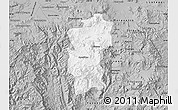 Gray Map of Hidalgo