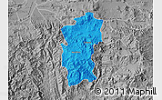 Political Map of Hidalgo, desaturated
