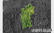 Satellite Map of Hidalgo, darken, desaturated