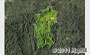Satellite Map of Hidalgo, darken, semi-desaturated