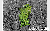 Satellite Map of Hidalgo, desaturated