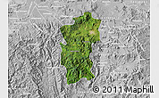 Satellite Map of Hidalgo, lighten, desaturated