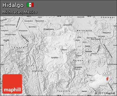 Silver Style Map of Hidalgo