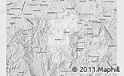 Silver Style Map of Hidalgo