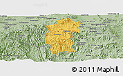 Savanna Style Panoramic Map of Hidalgo