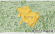 Savanna Style 3D Map of Morelia