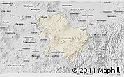 Shaded Relief 3D Map of Morelia, desaturated