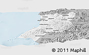 Gray Panoramic Map of Compostela
