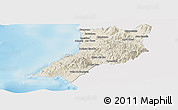 Shaded Relief Panoramic Map of Compostela, single color outside