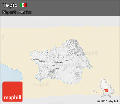 Classic Style 3D Map of Tepic, single color outside