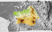 Physical 3D Map of Tepic, desaturated