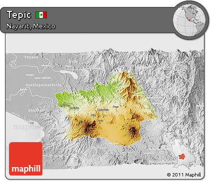 Physical 3D Map of Tepic, lighten, desaturated