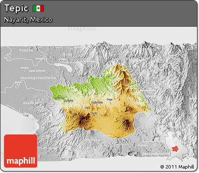 Physical 3D Map of Tepic, lighten, desaturated