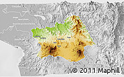 Physical 3D Map of Tepic, lighten, desaturated