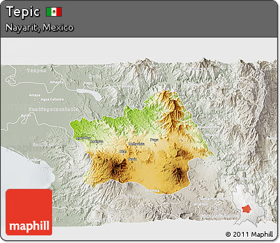 Physical 3D Map of Tepic, lighten, semi-desaturated