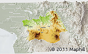 Physical 3D Map of Tepic, lighten, semi-desaturated