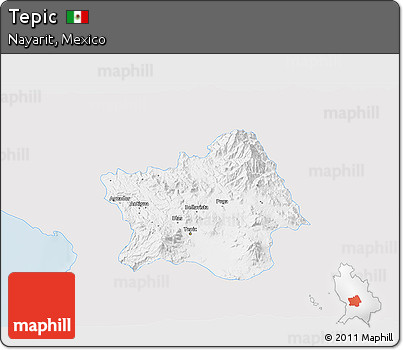 Silver Style 3D Map of Tepic, single color outside