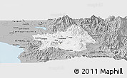 Gray Panoramic Map of Tepic