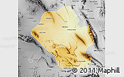 Physical Map of Mina, desaturated