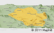 Savanna Style Panoramic Map of Mina