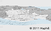 Gray Panoramic Map of Oaxaca