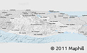 Silver Style Panoramic Map of Oaxaca