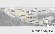 Shaded Relief Panoramic Map of Mexico, desaturated
