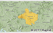 Savanna Style 3D Map of San Juan del Rio