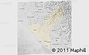 Shaded Relief 3D Map of Mazatlan, desaturated