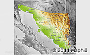 Physical 3D Map of Sonora, desaturated