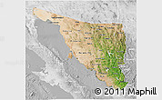 Satellite 3D Map of Sonora, lighten, desaturated