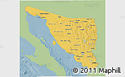 Savanna Style 3D Map of Sonora, single color outside