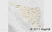 Shaded Relief 3D Map of Sonora, lighten, desaturated