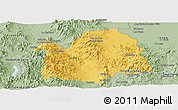 Savanna Style Panoramic Map of Bavispe