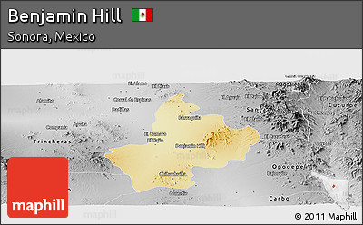 Physical Panoramic Map of Benjamin Hill, desaturated