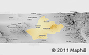 Physical Panoramic Map of Benjamin Hill, desaturated