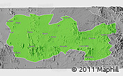 Political 3D Map of La Colorada, desaturated