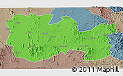 Political 3D Map of La Colorada, semi-desaturated