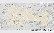 Shaded Relief 3D Map of La Colorada, desaturated
