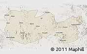 Shaded Relief 3D Map of La Colorada, lighten